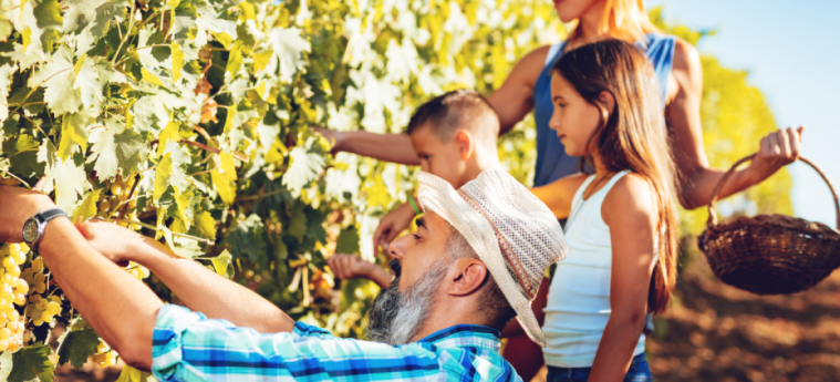 Festa della Vendemmia in Oltrepò Pavese