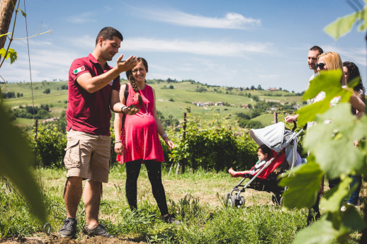Wine Tour Experience "Basic" Wine Tour Experience "Basic"
