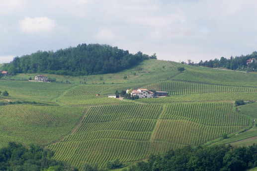 Azienda Agricola Padroggi La Piotta