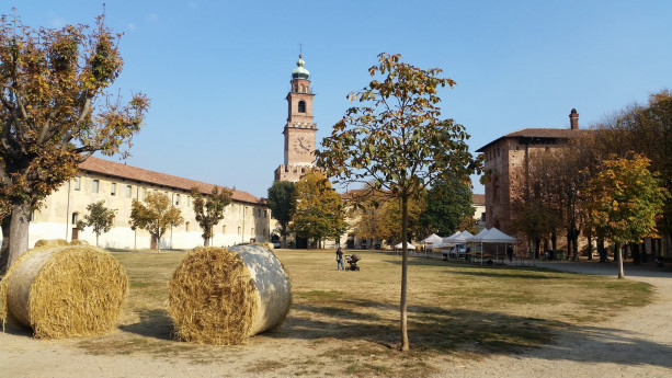 Serena Scansetti - Guida Turistica