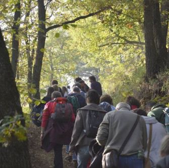 Quattro passi nel foliage autunnale