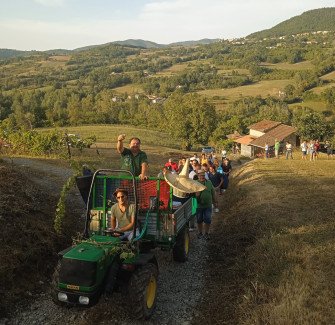 Festa delle Cantine di Cignolo