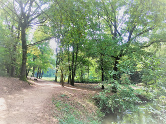 Pedalando alla scoperta del Parco Visconteo Pedalando alla scoperta del Parco Visconteo