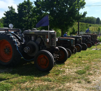 Festa Patronale di Santa Croce 2026
