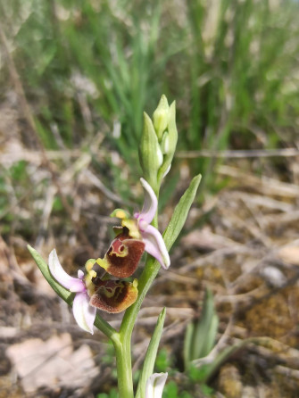 Metti a fuco la natura