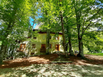 Estate alla Penicina