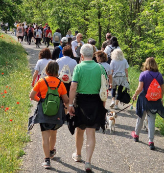 Camminata per la salute