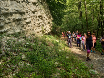 Il cammino delle carbonaie