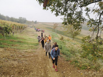 Tra borghi e sentieri di vini