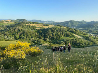 Il sentiero delle  ginestre in fiore