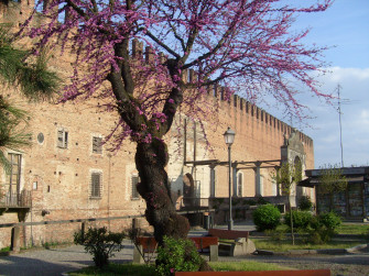 Fiera di Primavera a Belgioioso 2026