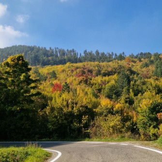 Foliage in Oltrepò Pavese: dove vedere i colori dell'autunno
