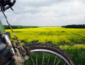 Un PO di Bicicletta