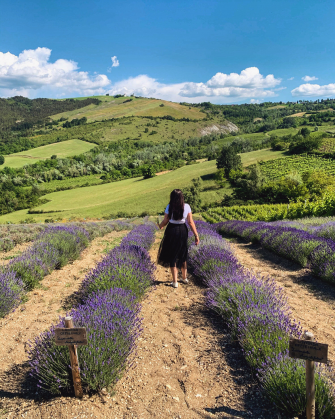 Alla scoperta dei campi di lavanda in Oltrepò Pavese