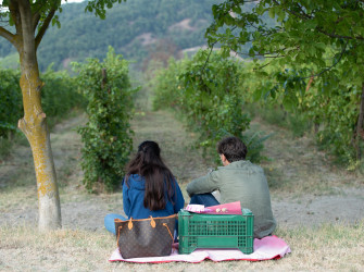 Picnic in Vigna in Oltrepò