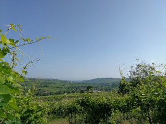 VISITA GUIDATA CON PRANZO-DEGUSTAZIONE