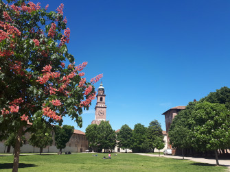 Visita guidata a Vigevano 