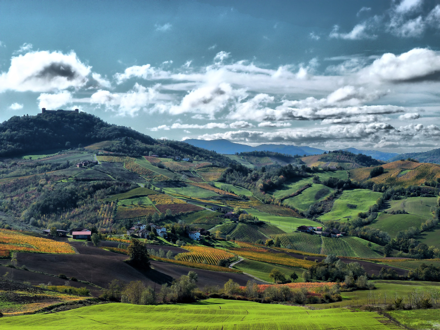Oltrepò Pavese Terra ricca di relax ed enogastronomia