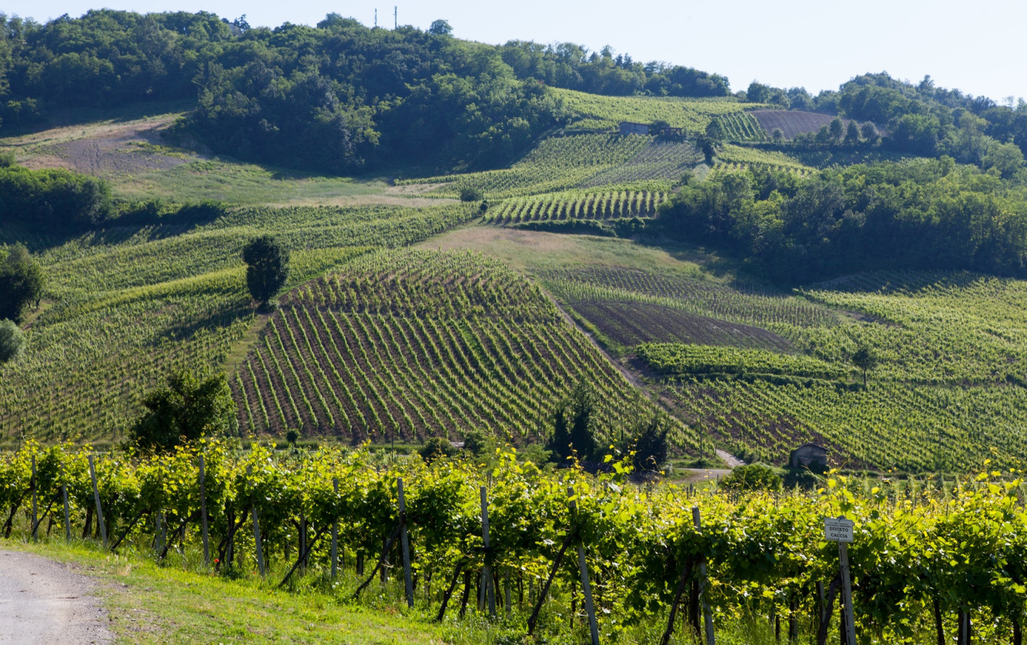 Colline dell'Oltrepò Pavese