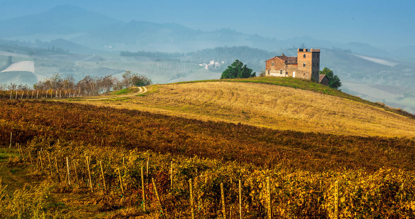 Montalto (PV), Oltrepò pavese