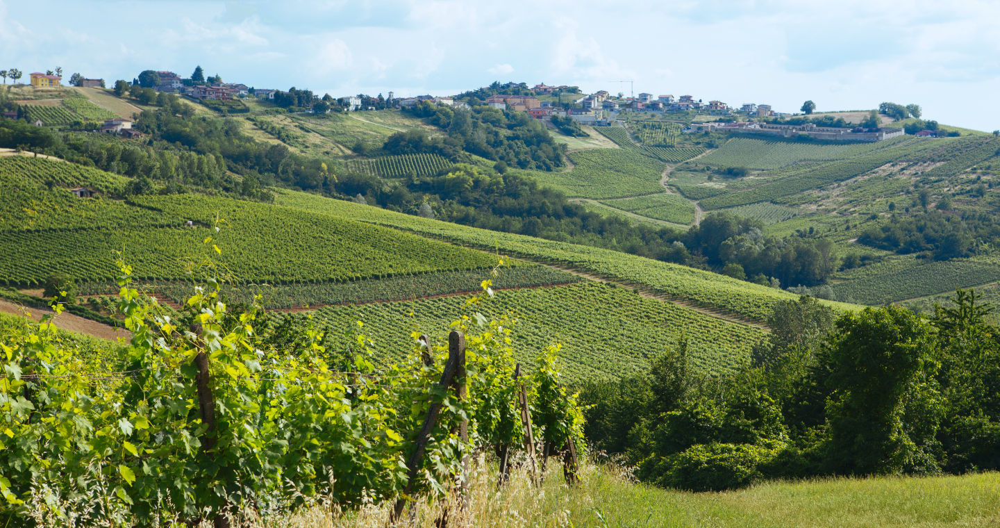 Campagna dell'Oltrepò pavese