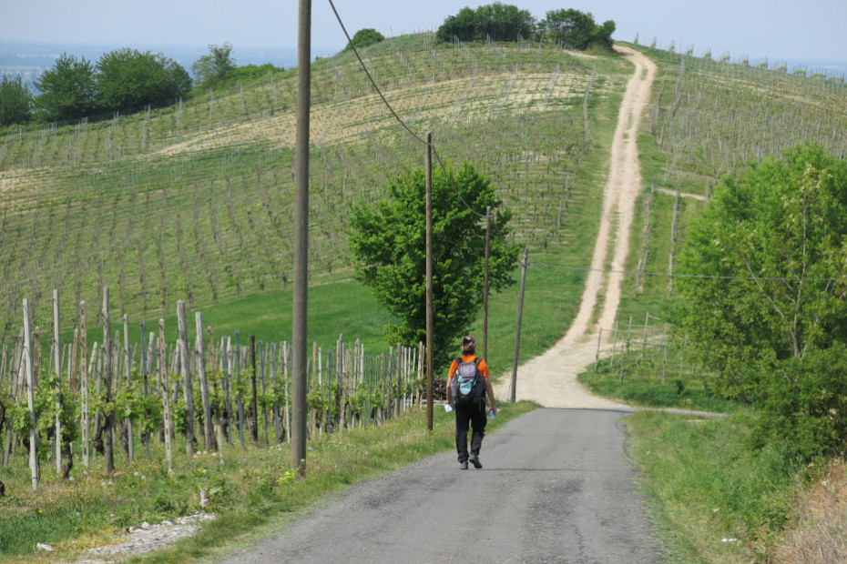 16. Da Monteguzzo a Torrazzetta