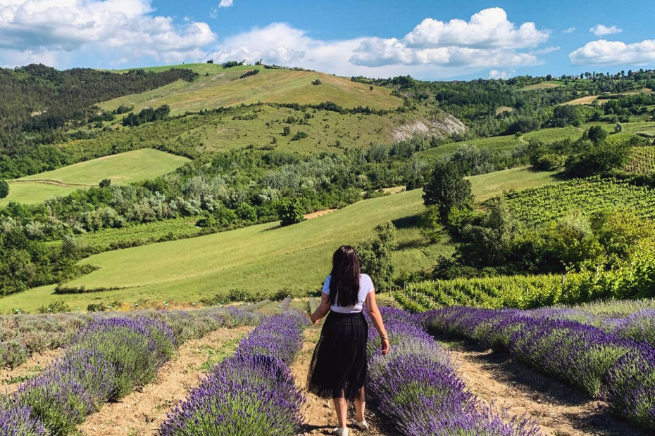 2. I campi di lavanda dell'Oltrepò Pavese