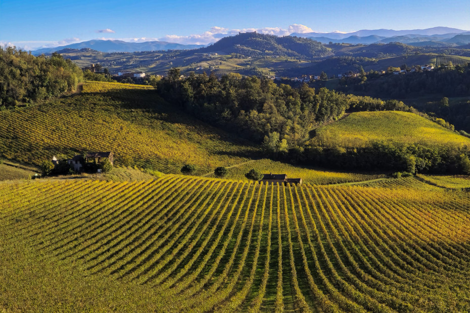 10. Frazione Castello di Santa Giuletta