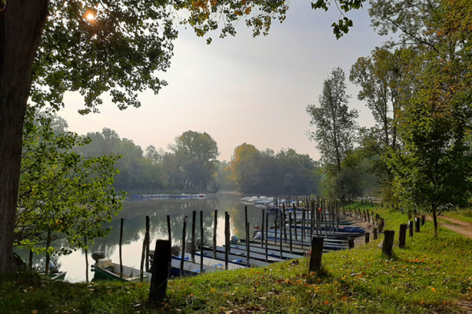8. Il Parco del Ticino: natura Unesco a due passi dal centro