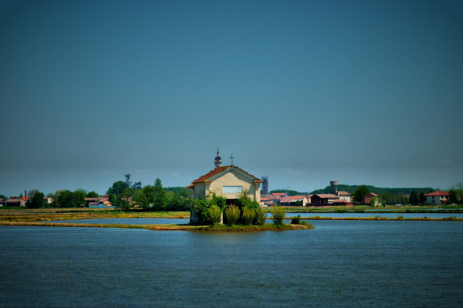 Risaie a San Giorgio Lomellina