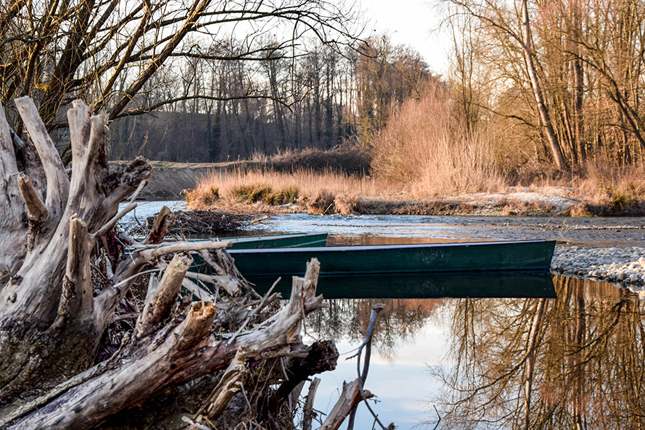 A dive into nature in the Ticino Park 