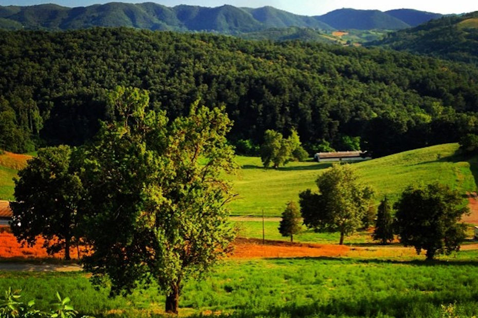 Colli Verdi (PV)