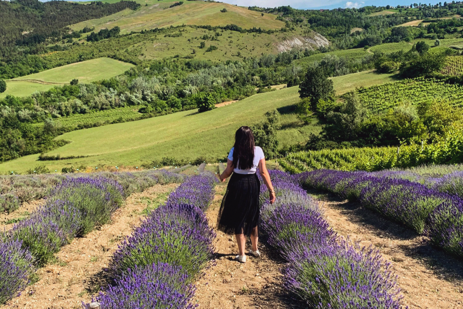 A circa 11Km da Casteggio, sulle prime colline dell’Oltrepò, a Borgoratto Mormorolo, sorge l’Azienda Agricola Impoggio. Oltre alla certificazione Bio,si distingue per la differenziazione delle  colture: vigneti, lavanda, noccioleti, apicoltura, goji