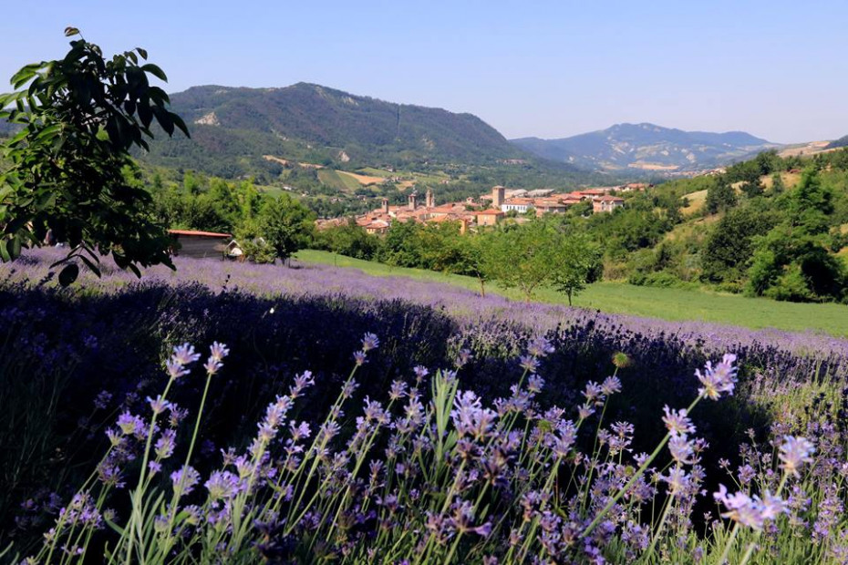 L'Azienda si trova sulle colline dell'Oltrepò Pavese, in un versante soleggiato che si affaccia sull'antico borgo di Varzi. La coltivazione di Lavanda (Lavandula angustifolia o officinalis) è iniziata nel 2010,  è priva di qualunque apporto chimico ed affidata esclusivamente alla naturale ricchezza del terreno, all'acqua e all'aria particolarmente pura di  questa zona. Inoltre, tutte le fasi della lavorazione e trasformazione sono rigorosamente manuali.