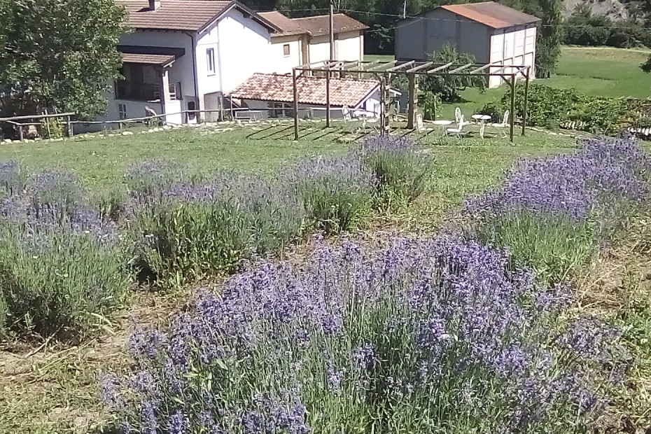 Il B&B La Locanda del Molino gestito da una giovane famiglia milanese trasferita in queste bellissime colline, si trovo a Molino della Signora frazione di Fortunago  Il B&B è arredato in stile shabby ed è contornato dal campo di lavanda L'azienda agricola coltiva lavanda da cui si estrae olio essenziale e presto sarà disponibile una linea alla lavanda