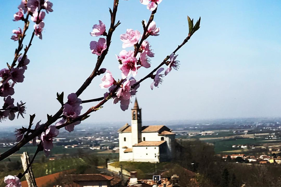 Corvino San Quirico (Pv)