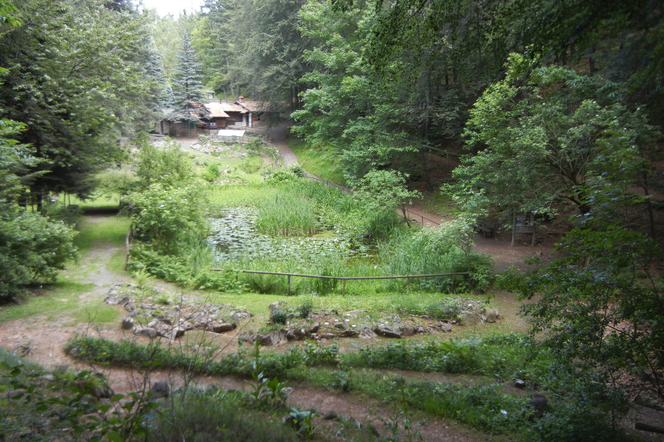 3. Da Pometo A Grazzi - Passo del Penice (PV)