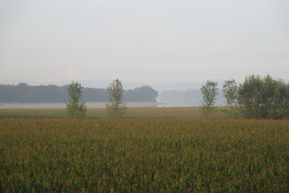 da Santa Cristina e Bissone a Corte Sant'Andrea