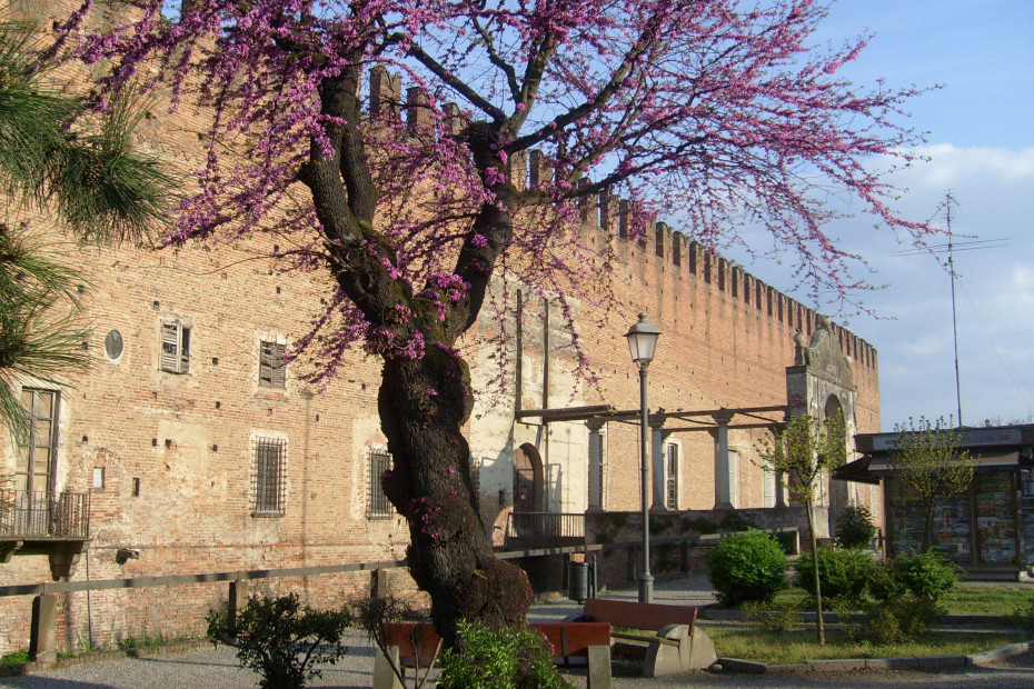 Castello di Belgioioso