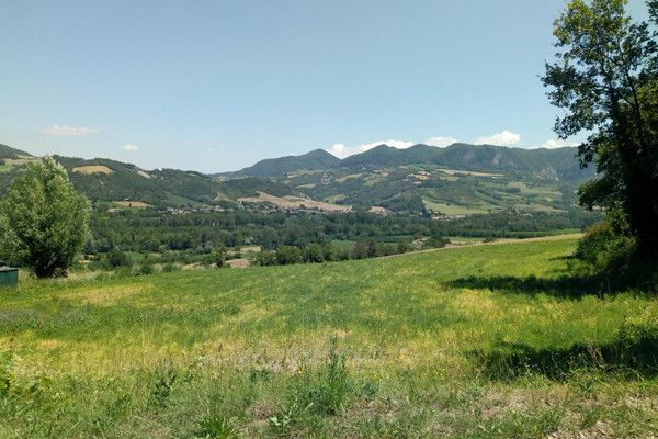 Ca’ del Monte_Associazione Naturalistica Codibugnolo
