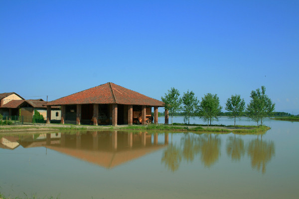 Le risaie della Lomellina 