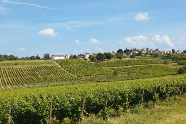 Campagna nell'Oltrepò pavese