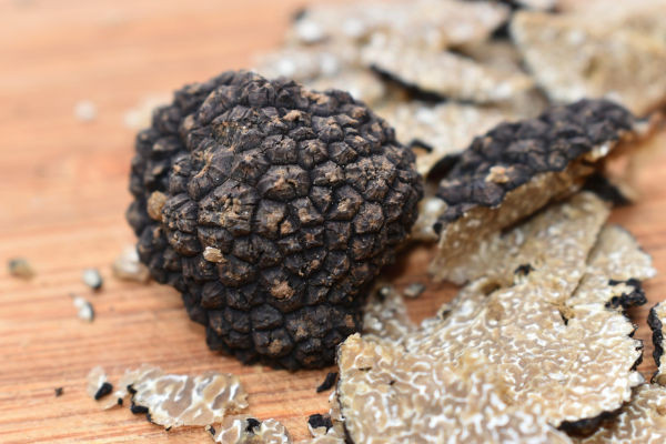 Tartufo nero estivo