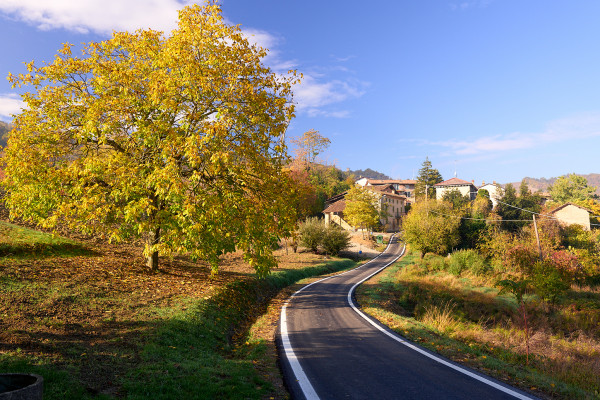 Su e giù per le colline tra borghi e fiabe