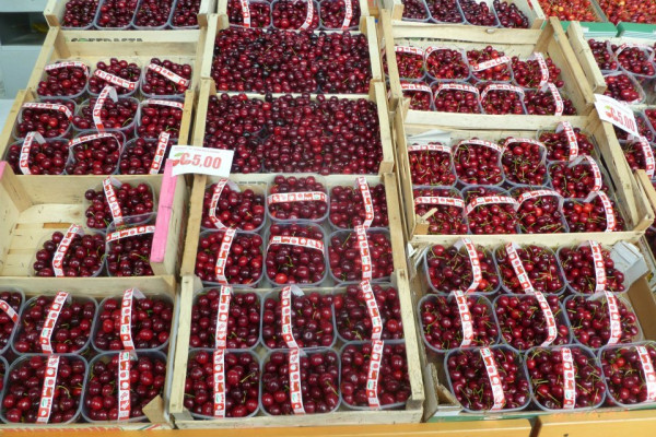 Ciliegie di Bagnaria