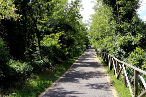vista della ciclabile Greenway