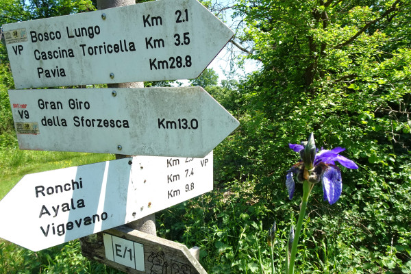 sentieri nel Parco del Ticino