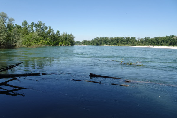 Ticino, il "Fiume Azzurro"
